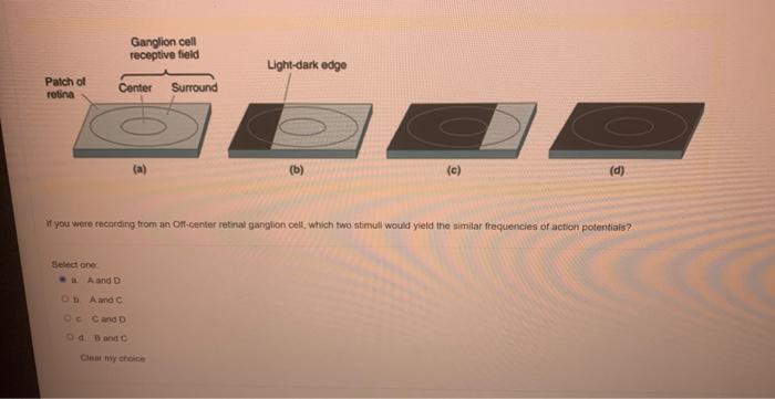 It Yoid Wete Recoding From An On Center Retinal Ganglion Celi Which Stimulus Would Yleld The Lowest Frequency Of Action 2