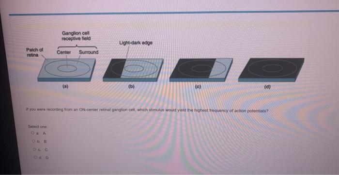 It Yoid Wete Recoding From An On Center Retinal Ganglion Celi Which Stimulus Would Yleld The Lowest Frequency Of Action 3