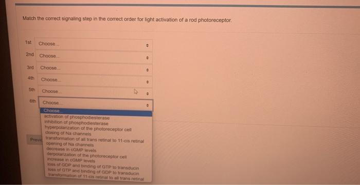 Match The Correct Signaling Step In The Correct Order For Light Activation Of A Rod Photoreceptor If You Were Recodont 1