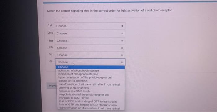 Match The Correct Signaling Step In The Correct Order For Light Activation Of A Rod Photoreceptor If You Were Recodont 4