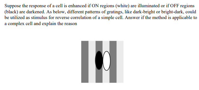 Suppose The Response Of A Cell Is Enhanced If On Regions White Are Illuminated Or If Off Regions Black Are Darkened 1
