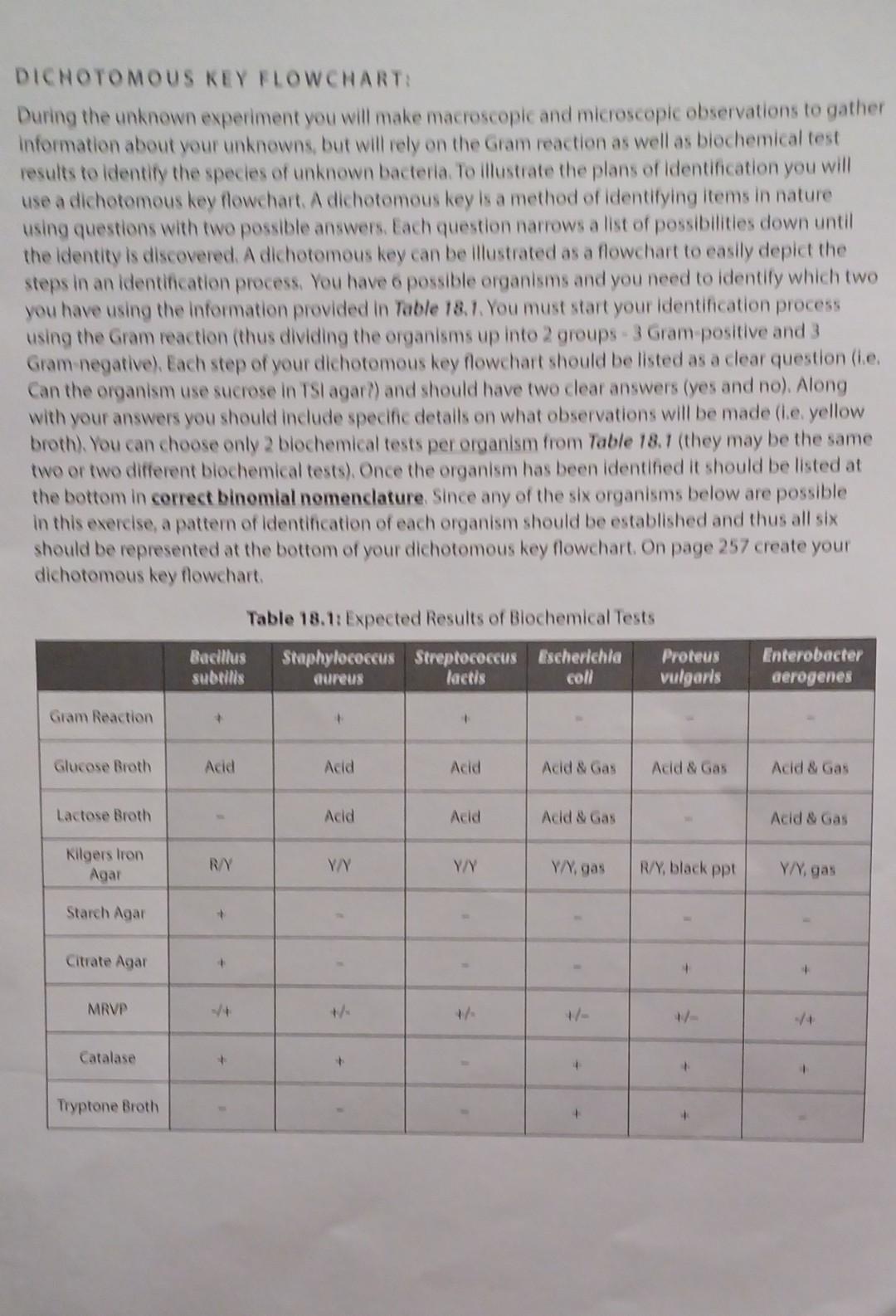 Can I Please Get Some Help Making On A Dichotomous Key I M Not Really Sure How To Do It 1