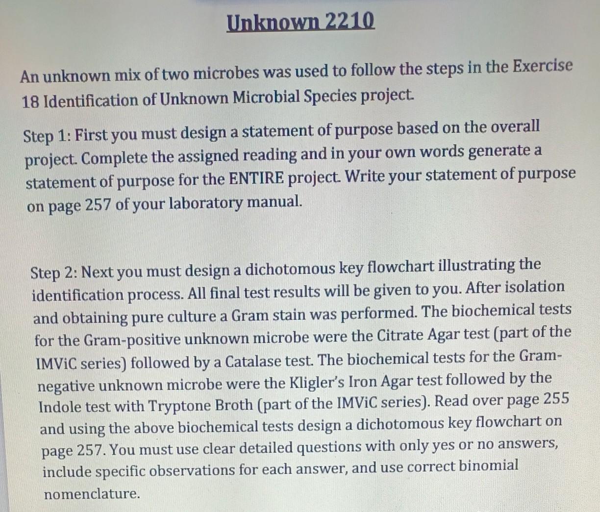 Can I Please Get Some Help Making On A Dichotomous Key I M Not Really Sure How To Do It 2