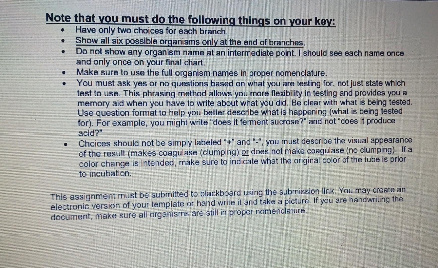 Can I Please Get Some Help Making On A Dichotomous Key I M Not Really Sure How To Do It 4
