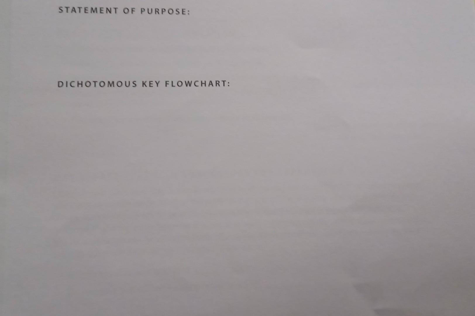 Can I Please Get Some Help Making On A Dichotomous Key I M Not Really Sure How To Do It 5