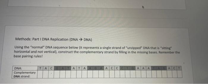 Methods Part 1 Dna Replication Dna Dna Using The Normal Dna Sequence Below It Represents A Single Strand Of Unz 1