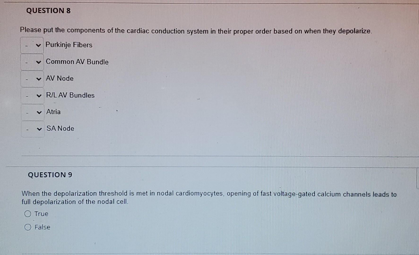 Please Put The Components Of The Cardiac Conduction System In Their Proper Order Based On When They Depolarize Purkinje 1