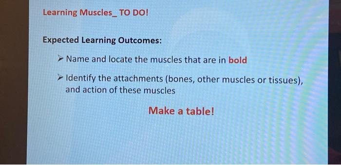 Please Help Me To Make A Table Of Muscles Of Anatomy And Physiology 1 Chapter 10 It S Due Tonight Dont Have Any Other P 1