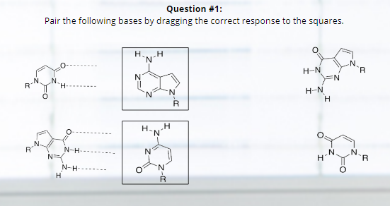 Please Help I Am Trying To Figure Out The Dna Complementary Sequence I Think It S 5 Tcaggagtcacaccagcttcca 3 But My 1