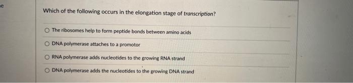 Which Of The Following Occurs In The Elongation Stage Of Transcription The Ribosomes Help To Form Peptide Bonds Between 1