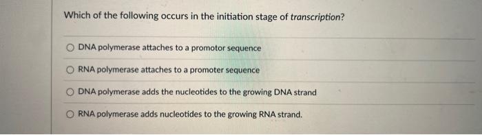 Which Of The Following Occurs In The Initiation Stage Of Transcription Dna Polymerase Attaches To A Promotor Sequence R 2