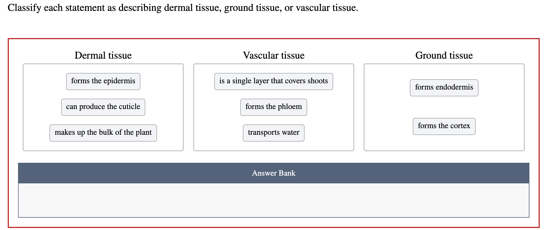 Classify Each Statement As Describing Dermal Tissue Ground Tissue Or Vascular Tissue 1