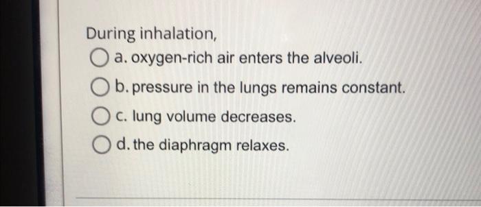 During Inhalation A Oxygen Rich Air Enters The Alveoli B Pressure In The Lungs Remains Constant C Lung Volume Decr 1