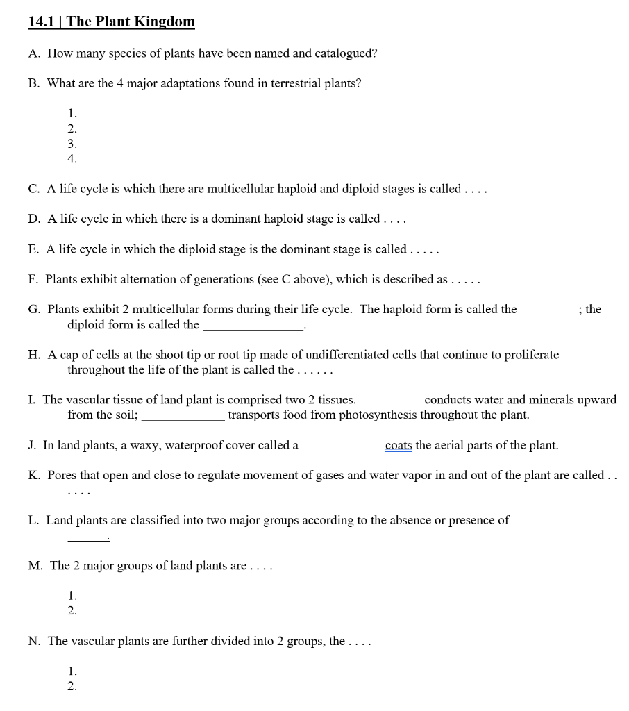 Need Correct Answers Please 1