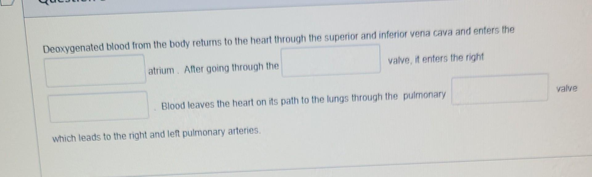Deoxygenated Blood From The Body Returns To The Heart Through The Superior And Inferior Vena Cava And Enters The Atrium 1