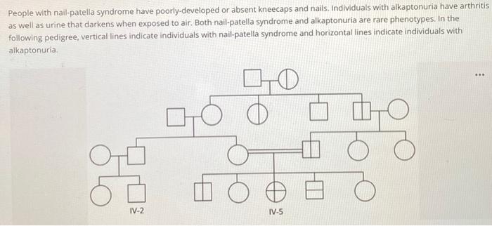 In A Mating Between Iv 2 And Iv 5 What Is The Probability That The First Child Would Have Neither Condition People Wi 2