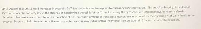 Q13 Animal Cells Utilize Rapid Increases In Cytosolic Ca Ion Concentration To Respond To Certain Extracellular Signal 1