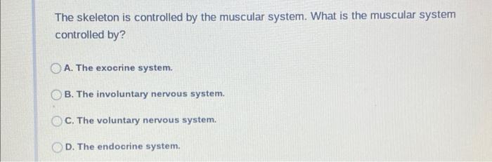 The Skeleton Is Controlled By The Muscular System What Is The Muscular System Controlled By A The Exocrine System B 1