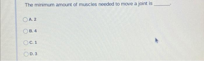 The Skeleton Is Controlled By The Muscular System What Is The Muscular System Controlled By A The Exocrine System B 2
