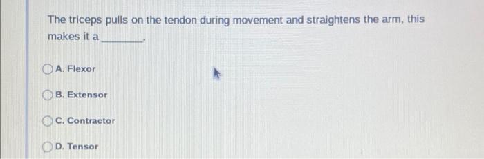 The Skeleton Is Controlled By The Muscular System What Is The Muscular System Controlled By A The Exocrine System B 6