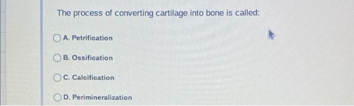 The Skeleton Is Controlled By The Muscular System What Is The Muscular System Controlled By A The Exocrine System B 7