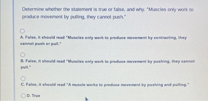 The Skeleton Is Controlled By The Muscular System What Is The Muscular System Controlled By A The Exocrine System B 8
