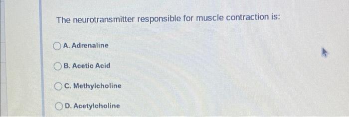 The Skeleton Is Controlled By The Muscular System What Is The Muscular System Controlled By A The Exocrine System B 9