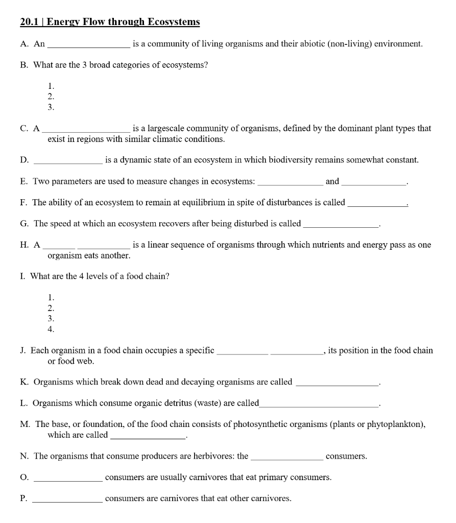 Answer Below Questions 1