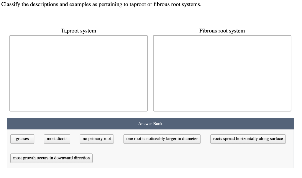 Classify The Descriptions And Examples As Pertaining To Taproot Or Fibrous Root Systems 1