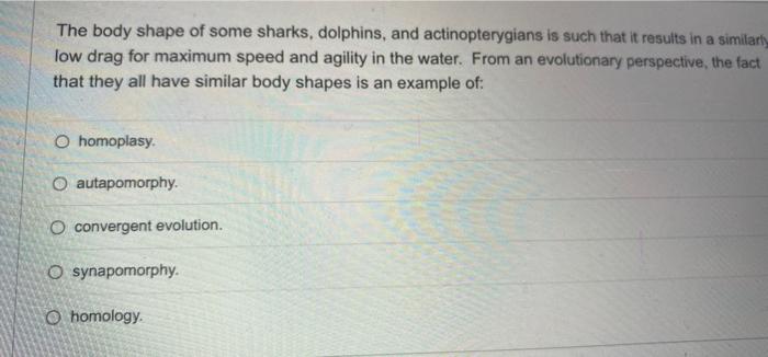The Body Shape Of Some Sharks Dolphins And Actinopterygians Is Such That It Results In A Similart Iow Drag For Maximum 1