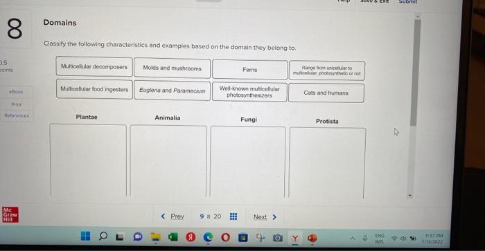 Classify The Following Characteristics And Examples Based On The Domain Then Helonn Th 1