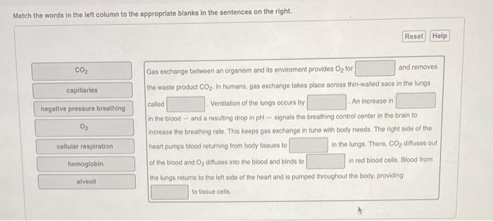 Match The Words In The Left Column To The Appropeiate Blaniks In The Sentences On The Right Gas Exchange Between An Org 1