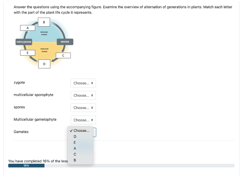 Answer The Questions Using The Accompanying Figure Examine The Overview Of Alternation Of Generations In Plants Match 1