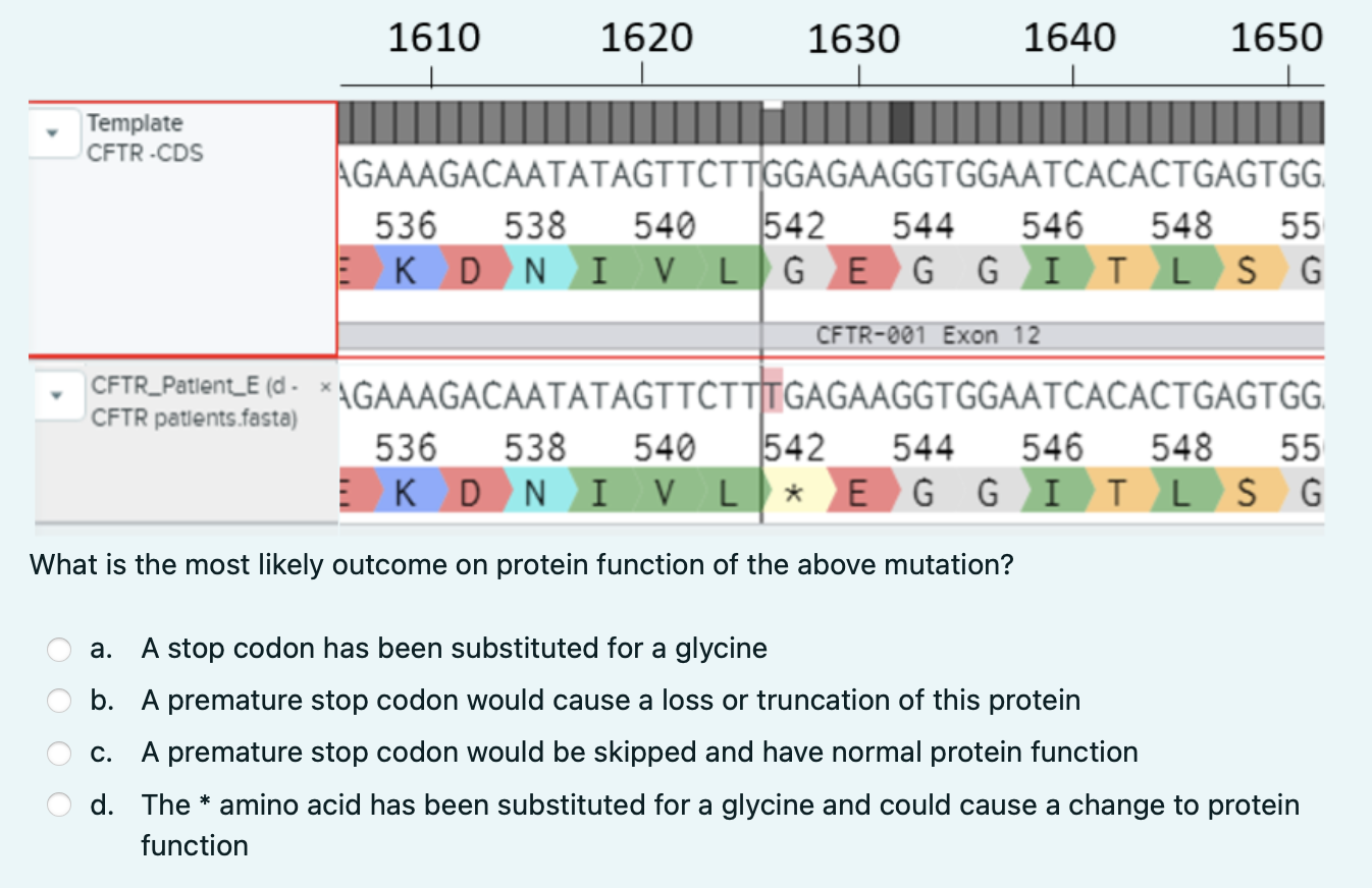 What Is The Most Likely Outcome On Protein Function Of The Above Mutation A A Stop Codon Has Been Substituted For A Gl 1