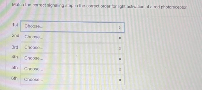 Match The Correct Signaling Step In The Correct Order For Light Activation Of A Rod Photoreceptor 1s 21 3r 4t 5 Ti 6th 1