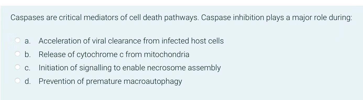 Caspases Are Critical Mediators Of Cell Death Pathways Caspase Inhibition Plays A Major Role During A Acceleration Of 1