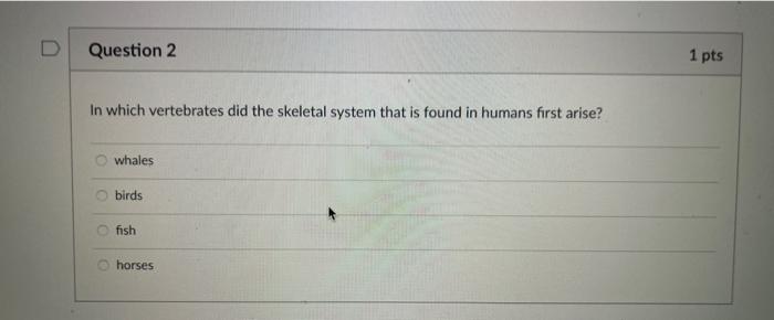 Why Are The Skeletons Of All Vertebrates So Similar In Structure And Function All Vertebrates Evolved The Same Limb Fun 2