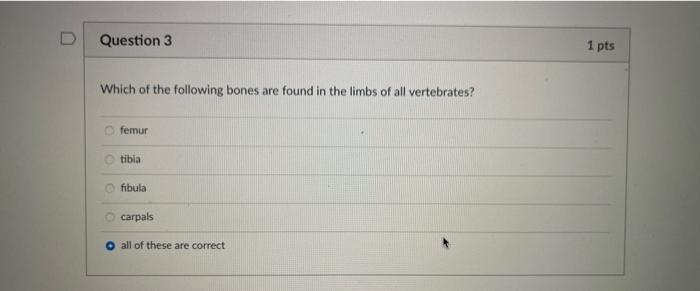 Why Are The Skeletons Of All Vertebrates So Similar In Structure And Function All Vertebrates Evolved The Same Limb Fun 3