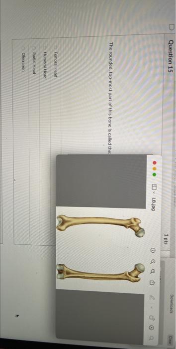Why Are The Skeletons Of All Vertebrates So Similar In Structure And Function All Vertebrates Evolved The Same Limb Fun 8