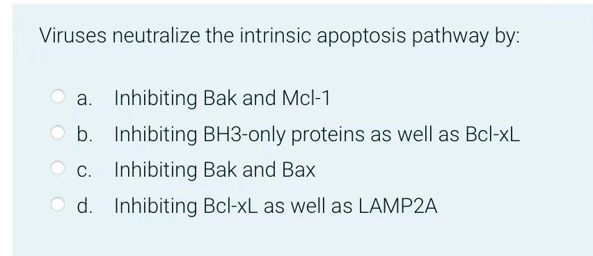 Viruses Neutralize The Intrinsic Apoptosis Pathway By A Inhibiting Bak And Mcl 1 B Inhibiting Bh3 Only Proteins As We 1