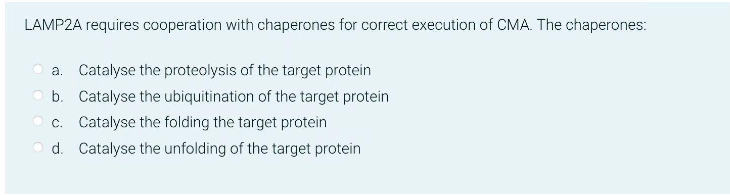 Lamp2a Requires Cooperation With Chaperones For Correct Execution Of Cma The Chaperones A Catalyse The Proteolysis Of 1