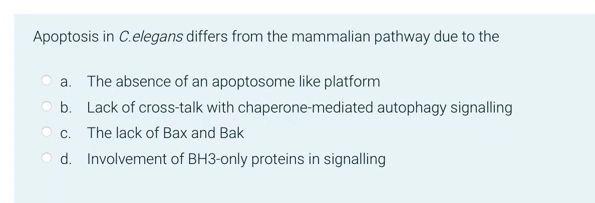 Apoptosis In C Elegans Differs From The Mammalian Pathway Due To The A The Absence Of An Apoptosome Like Platform B La 1