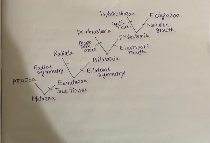For Example Consider The Questions From Themuppet Tree Picture 2 To Understand What Kindof Questions And Answer You Ha 1