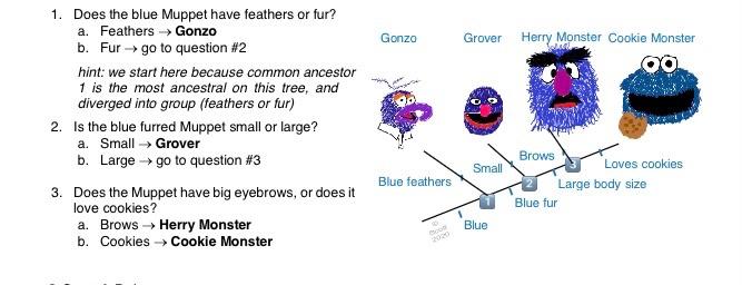 For Example Consider The Questions From Themuppet Tree Picture 2 To Understand What Kindof Questions And Answer You Ha 2