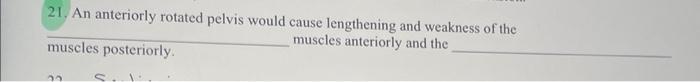 21 An Anteriorly Rotated Pelvis Would Cause Lengthening And Weakness Of The Muscles Posteriorly Muscles Anteriorly And 1