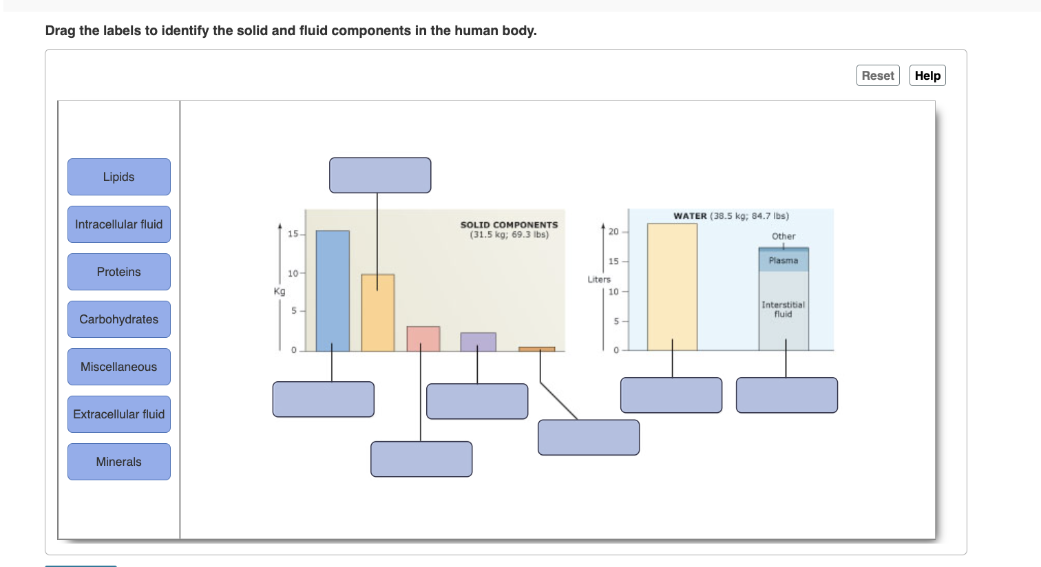 Drag The Labels To Identify The Solid And Fluid Components In The Human Body 1