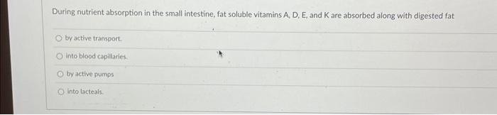 Which Of The Following Structures Does Not Form The Respiratory Membrane Across Which Oxygen And Carbon Dioxide Exchange 3