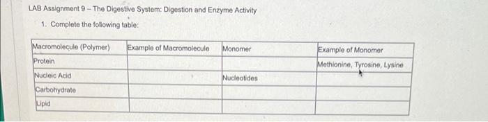 Lab Assignment 9 The Digestive System Digestion And Enzyme Activity 1 Complete The Following Table 1