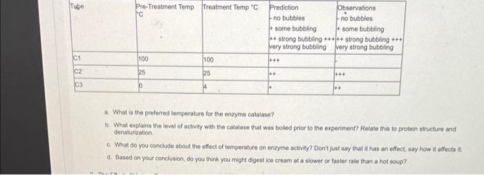 A What Is The Preferred Temperature For The Enzyme Catalase B What Explains The Level Of Activity With The Catalase T 1