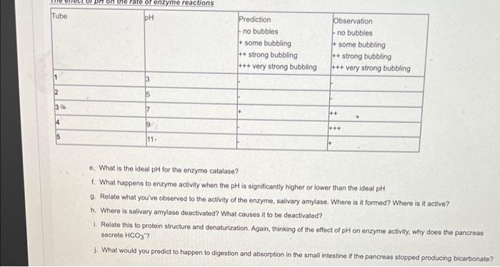 0 What Is The Ideal Ph For The Enzyme Catalase 1 What Happens To Enzyme Activity When The Ph Is Significantly Higher 1